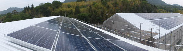 大森運送株式会社黒瀬倉庫ソーラー設備