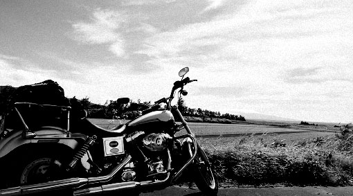 ユミちゃんガレージ