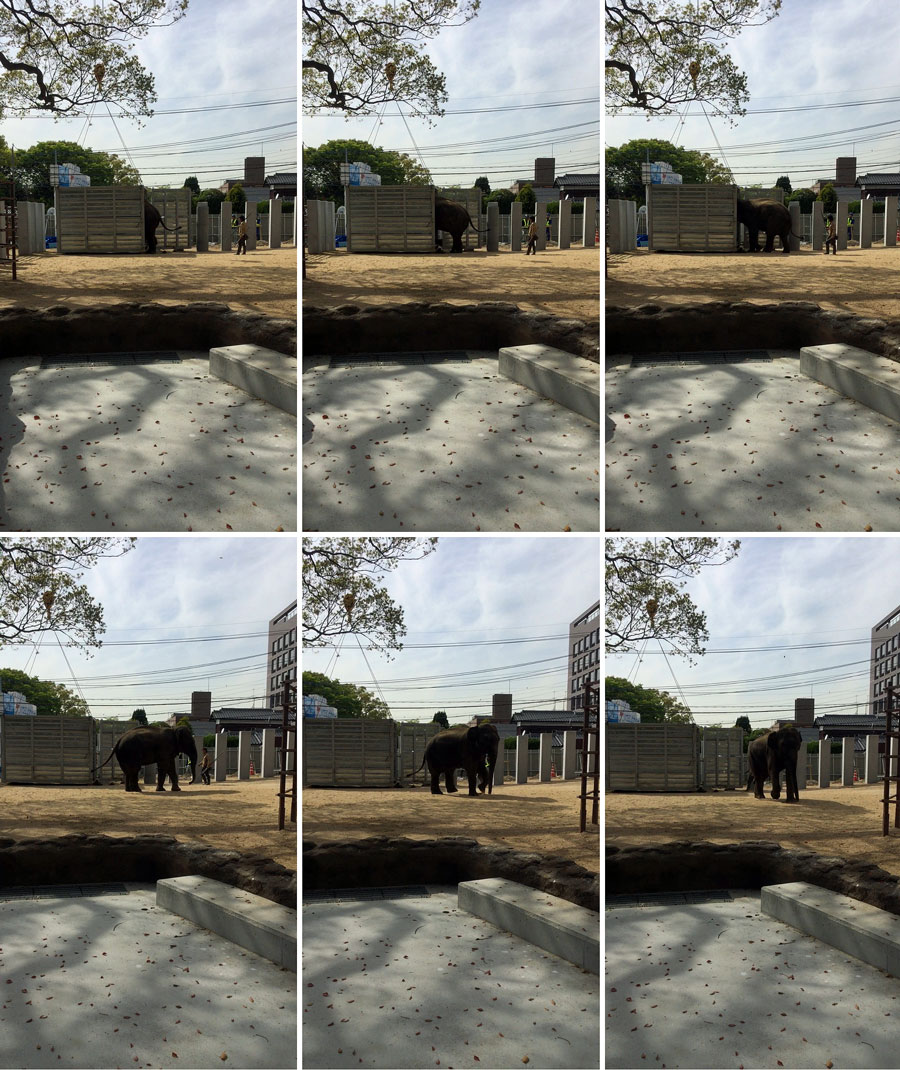 お引っ越しを終えて